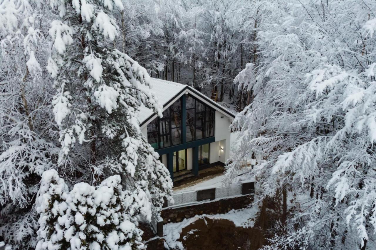 Vila Blanc Valiug Crivaia Exterior foto